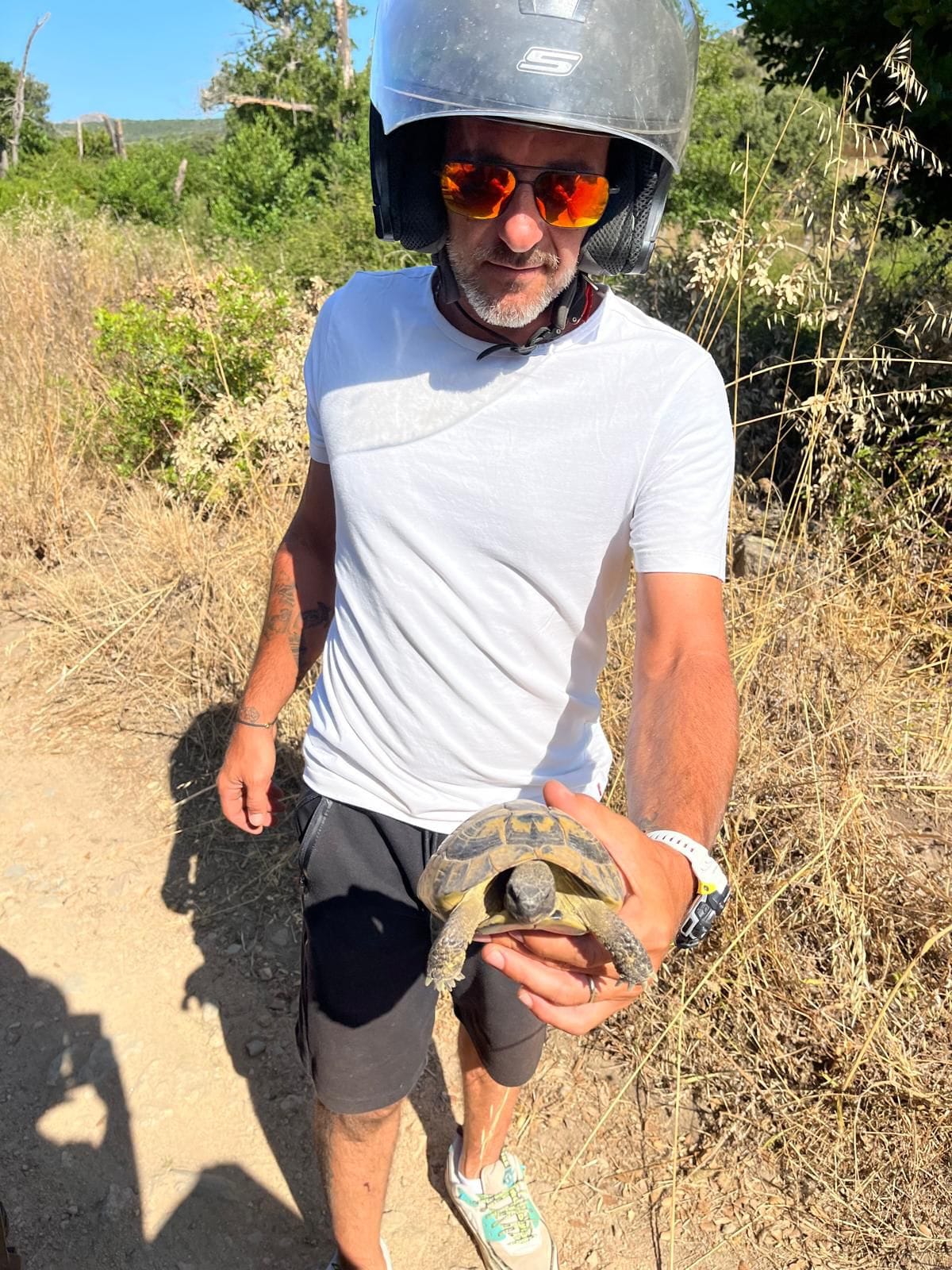 Guide Pro Fun Quad avec une tortue d'Hermann rencontrée sur la piste